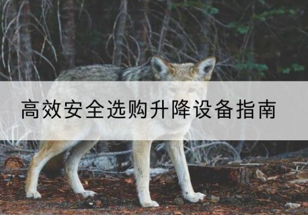 宜宾升降货梯厂家推荐-*安全选购升降设备指南
