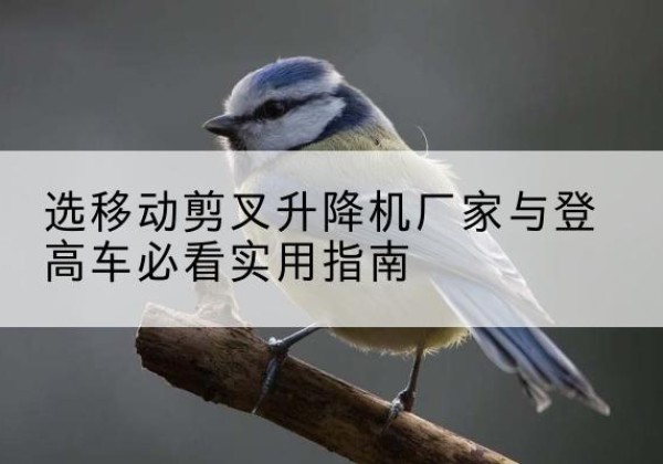 宜宾电动升降机厂家-选移动剪叉升降机厂家与登高车必看实用指南