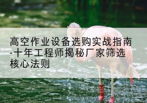 宜宾剪叉式升降机厂家-高空作业设备选购实战指南-十年工程师揭秘厂家筛选核心法则